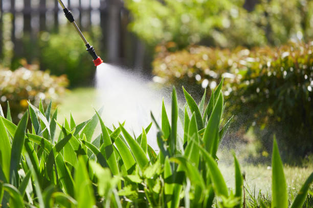 Tamper-Resistant Bait Stations for Rodents in Dardenne Prairie