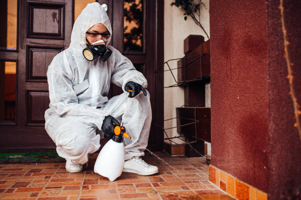 Attic and Crawl Space Rodent Treatment in Dardenne Prairie